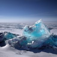 Act on Climate Change